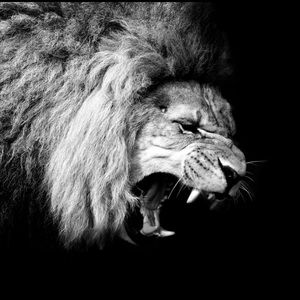 Meet your Posher, Marcus